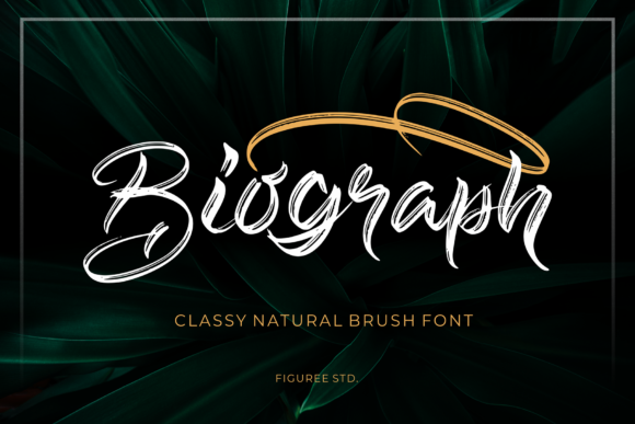 Biograph Font: A Thoughtful Script for Editorial Design
