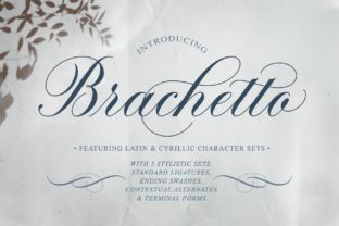 Brachetto Font Review: A Sensual Script for Modern Branding
