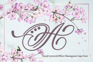Hand Lettered Effect Monogram: A Script Font for Romantic Editorial Design